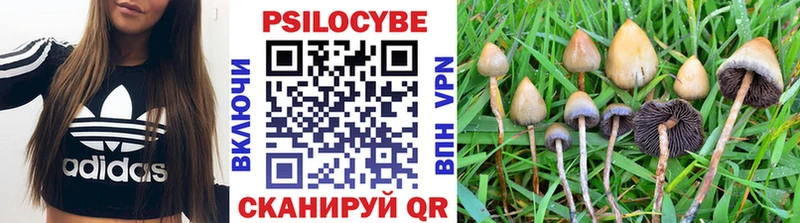 hydra ССЫЛКА Благовещенск Галлюциногенные грибы прущие грибы