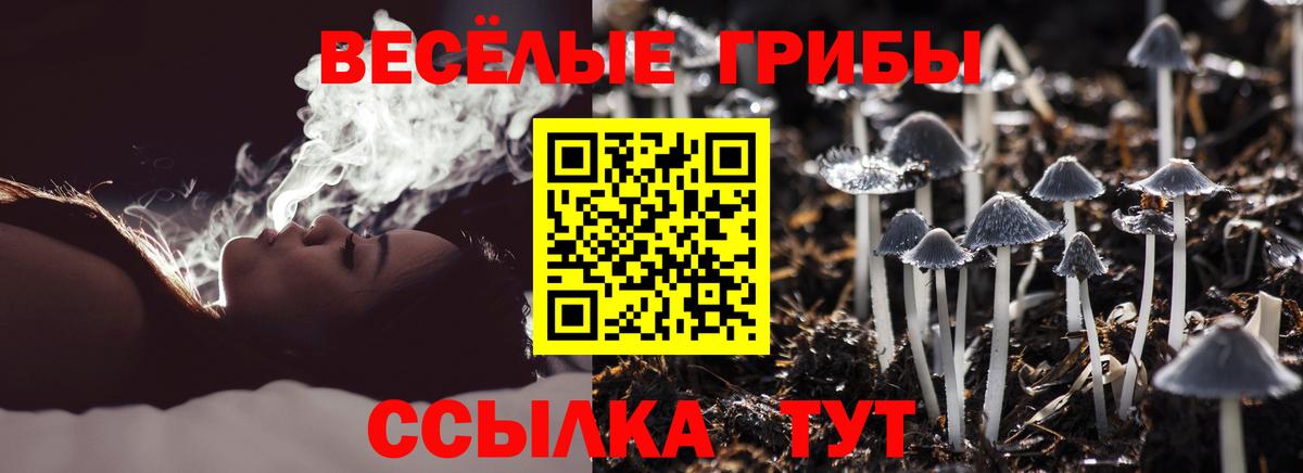 Псилоцибиновые грибы мухоморы  Вход с VPN  купить   Галлюциногенные грибы Cubensis  Благовещенск 